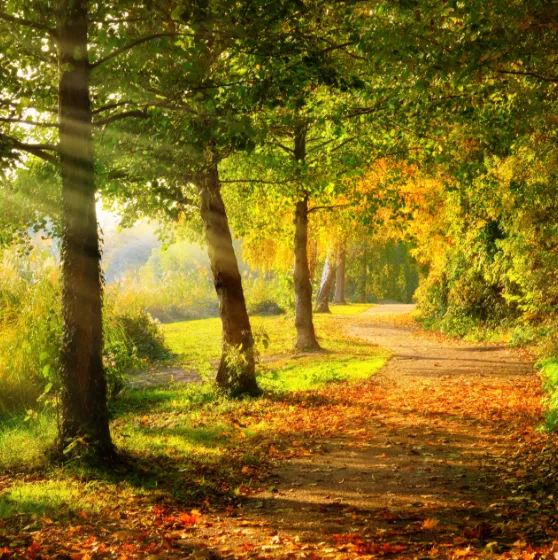 ハイライト画像03